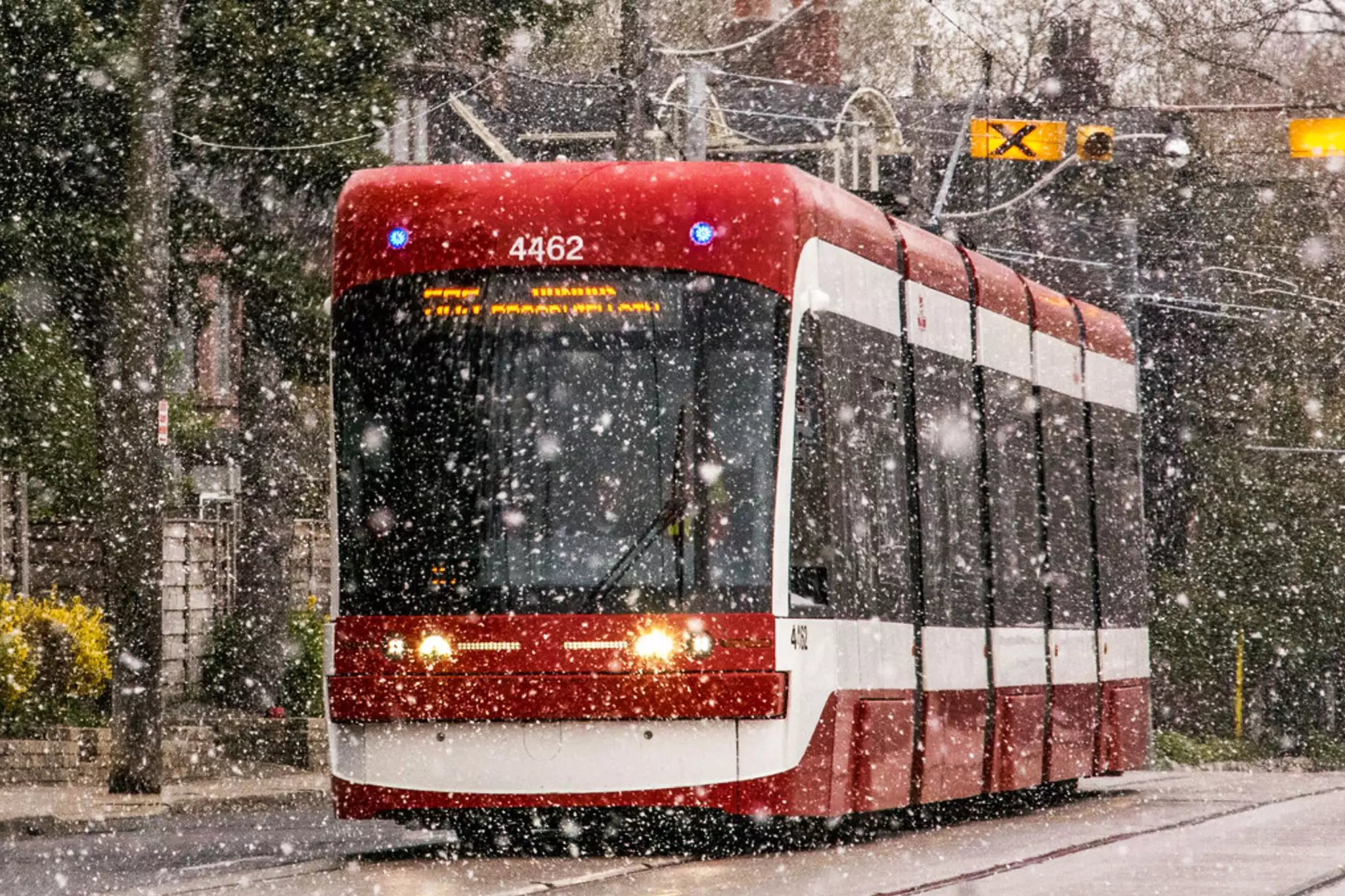 برف و سرما مهمان  اولین روز سال نو در تورنتو