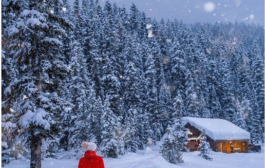 11 مکان فوق العاده کریسمس در کانادا