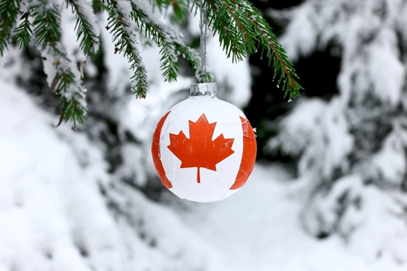 کانادایی ها کریسمس را چگونه جشن می گیرند؟