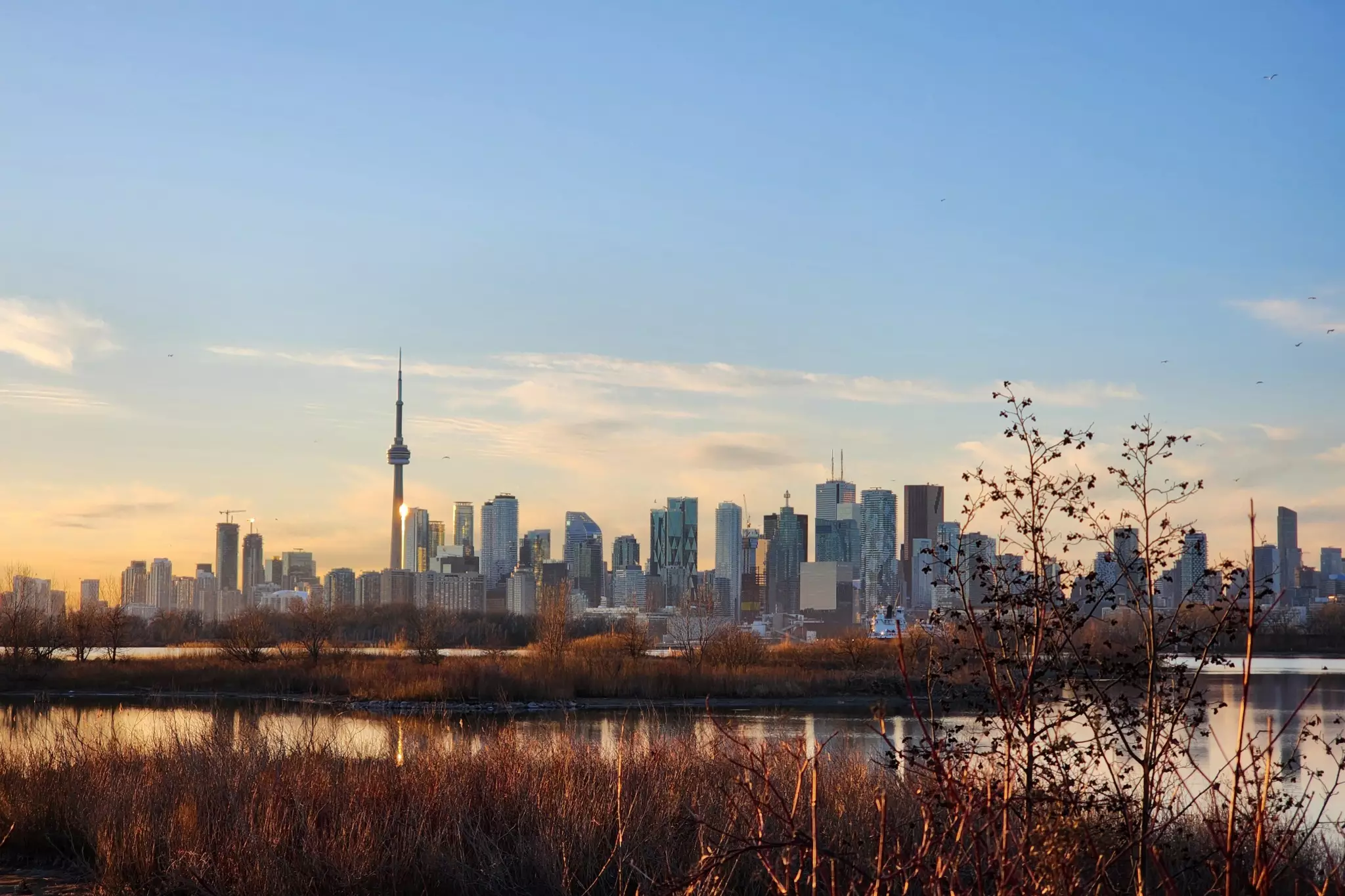 تورنتو در بهترین شهرهای جهان مورد قبول نسل هزاره