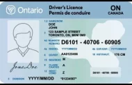طرح جدید گواهینامه در انتاریو براساس وضعیت مهاجرتی