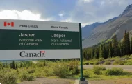 Parks Canada در آلبرتا برای مشاغل فناوری اطلاعات استخدام می‌کند